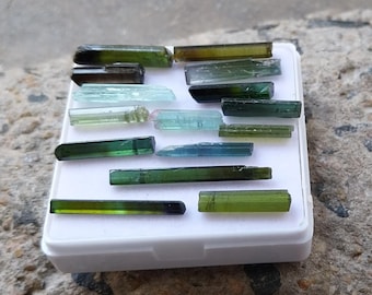 May include: A collection of raw tourmaline crystals in shades of green, blue, and black, arranged on a white tray. The crystals vary in size and shape, showcasing natural textures and colors. The crystals are displayed on a rough, textured surface.