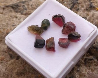 Raw Watermelon Tourmaline Rough: 14 Carat Bi-Color Gemstone 8 pcs