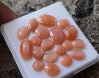 42 Carat Reddish Peach Moonstone Rose Cut Gemstones - 19 Piece