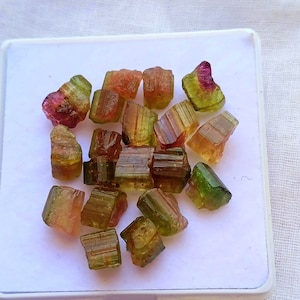 39 Carat Natural Watermelon Tourmaline RAW Rough 19 Piece Wholesale Lot, Bi- Color Tourmaline, Bi Color Tourmaline Gemstone