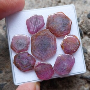 Rodaja de rubí trapecio brillante: gema natural pulida, 8 piezas.