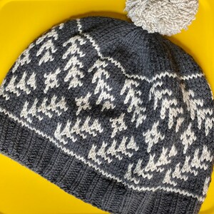 May include: A dark grey knitted hat with a white geometric pattern and a light grey pom-pom. The hat has a ribbed brim and a repeating zig-zag design. The hat is likely made of wool or a similar material.
