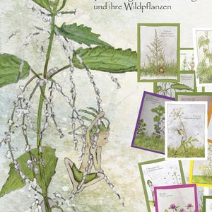 Può includere: Un set di carte illustrate con 30 erbe e piante selvatiche dipinte a mano. L'immagine include un'illustrazione stravagante di una fata e disegni botanici. Il testo sulle carte è in tedesco.