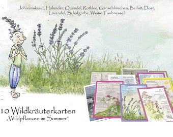 Kleines Krautlings-Set "Sommerkräuter"