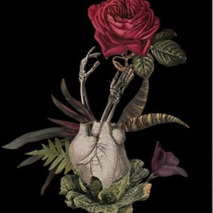 A Rose In My Heart/ Dark Botanical, Gothic Wall Art Print Poster, Creepy Romantic Home Decor Gift