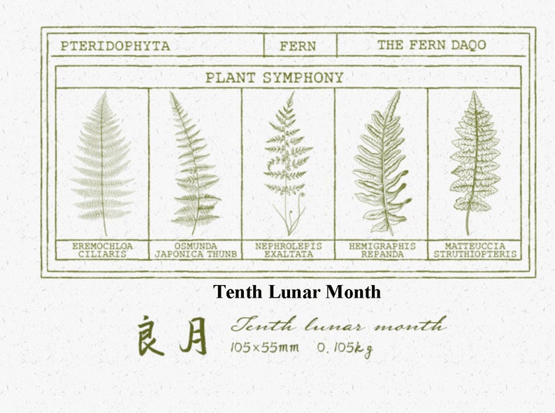 Fern Poetry Woodend Rubber Stamp Journals Stamp Planner Stamp Etsy