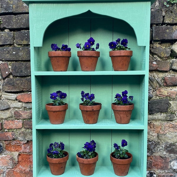 Auricula Theatre, Primrose, Primula, Flower Wall Shelf, Garden Flower Display, Gothic and Rustic in Three Colours