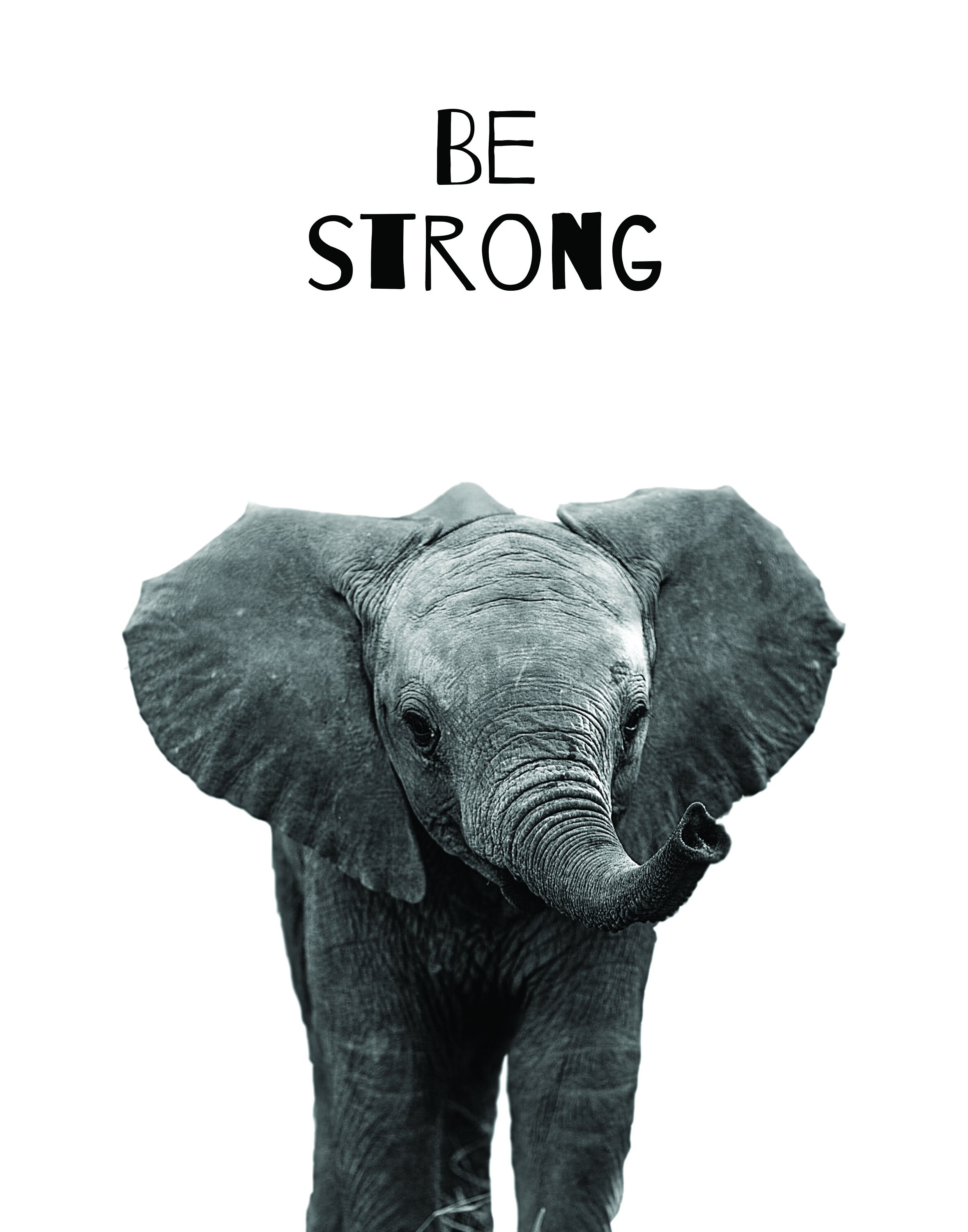 Be Strong, Be Brave, Be Kind, Animal Poster, Wall Art, Elephant, Lion