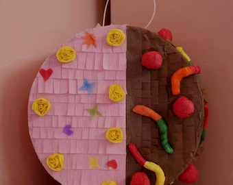 Max and Ruby Split Cake Inspired Piñata