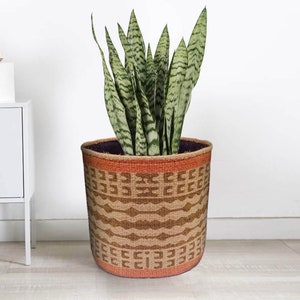 Puede incluir: Una planta serpiente verde y alta en una maceta de cesta tejida con un patrón geométrico en marrón y naranja. La maceta tiene un forro morado.