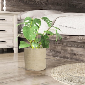 May include: A large green Monstera plant in a beige woven fabric planter pot. The plant is sitting on a wooden floor next to a woven rug.