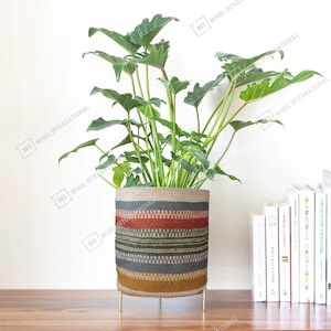 Pode incluir: Uma planta verde em um vaso cilíndrico tecido com um padrão listrado colorido. O vaso está em um suporte de metal dourado. A planta está na frente de uma estante de livros com vários livros.