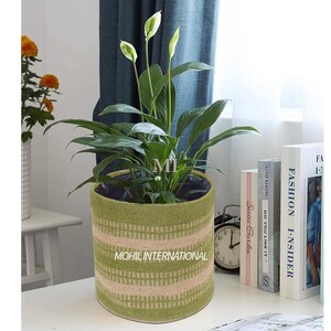 May include: A potted peace lily plant with white flowers and green leaves sits in a woven green and beige planter. The planter has horizontal stripes and the text "MOHIL INTERNATIONAL" is visible.