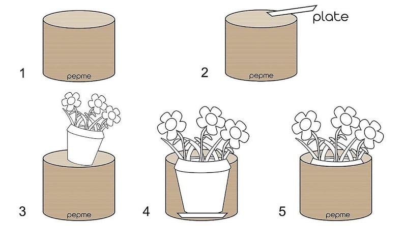 May include: A five-step guide on how to repot a plant. The steps are illustrated with a brown pot, a plant with white flowers, and a plate. The text "plate" is written above the plate.