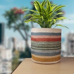 Planter Baskets