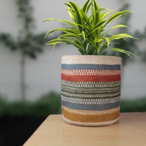 May include: A striped woven planter with a green plant inside. The planter is made of natural fibers and has a light brown, blue, green, yellow, and red striped pattern.