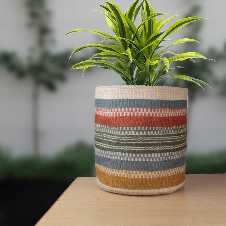 May include: A striped woven planter with a green plant inside. The planter is made of natural fibers and has a light brown, blue, green, yellow, and red striped pattern.