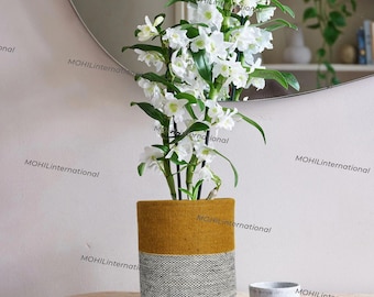 May include: A potted orchid with white flowers and green leaves. The plant is in a two-tone pot, with a mustard yellow top and a gray woven bottom. A small, round, gray bowl sits nearby on a wooden surface.