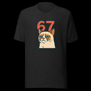 67 Sticker Style Grumpy Cat Shirt | Funny Unisex Tee