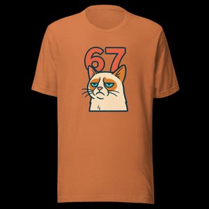 67 Sticker Style Grumpy Cat Shirt | Funny Unisex Tee