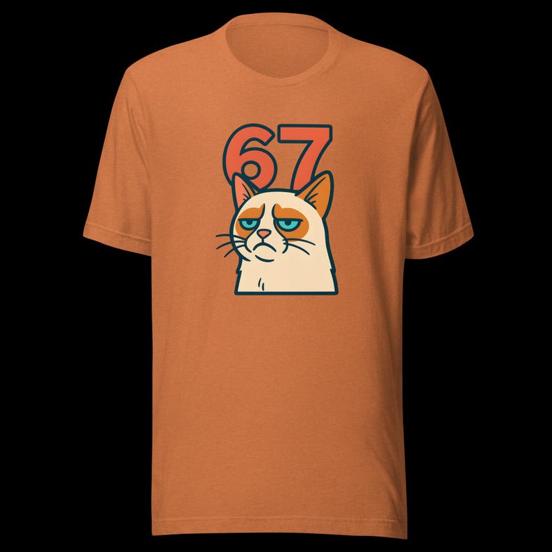 67 Sticker Style Grumpy Cat Shirt | Funny Unisex Tee
