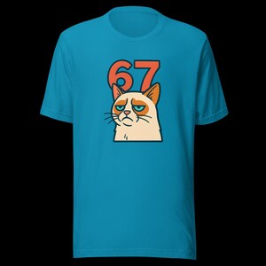 67 Sticker Style Grumpy Cat Shirt | Funny Unisex Tee