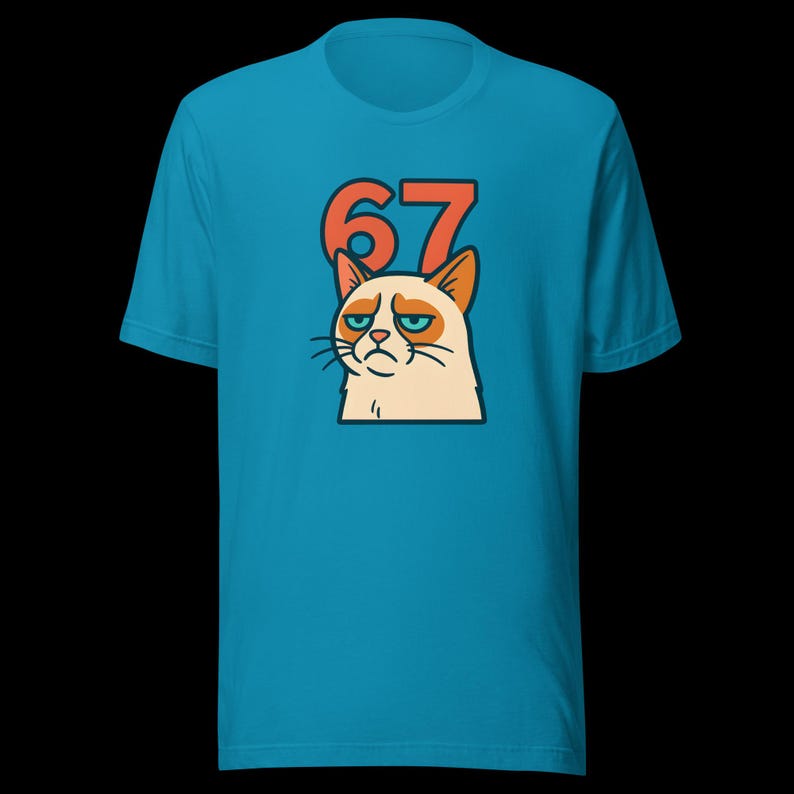 67 Sticker Style Grumpy Cat Shirt | Funny Unisex Tee