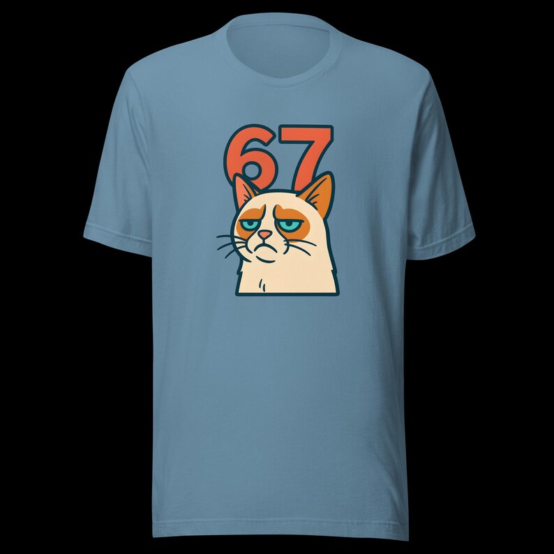 67 Sticker Style Grumpy Cat Shirt | Funny Unisex Tee