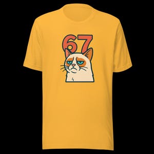 67 Sticker Style Grumpy Cat Shirt | Funny Unisex Tee