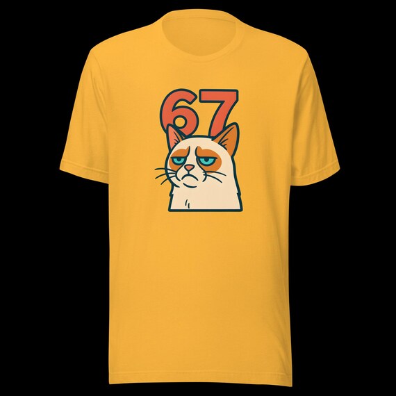 67 Shirt Sticker Style Grumpy Cat | Teen Unisex Gift