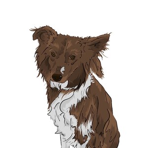 Regalo de Navidad de retrato de ilustración personal para mascotas
