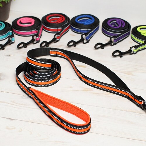 dog lead with two handles