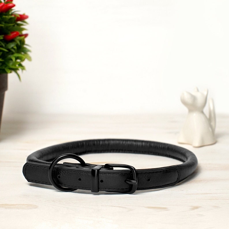 Rolled Padded Dog Collar Soft Leather Dog Collar Etsy