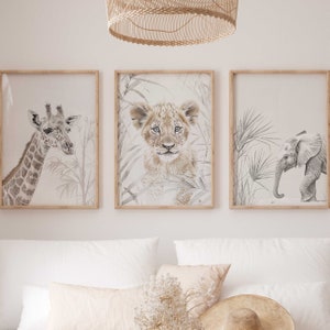 Wandbild 3er Poster Set P818 / Safari Light Abenteuer Giraffe Löwe Elefant / Kinderzimmer Deko Wandbilder Bilder