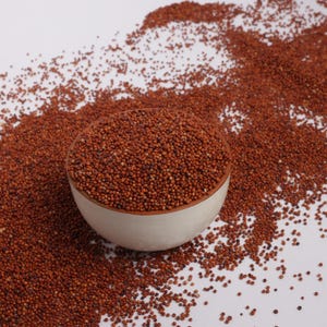 Finger Millet (Ragi / Nachni / Kezhvaragu) | Whole Ancient Grain for Culinary & Traditional Use