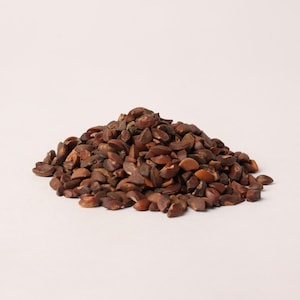 Puede incluir: Un montón de pequeños objetos marrones, parecidos a semillas, sobre un fondo blanco. Los objetos tienen una textura rugosa y diferentes tonos de marrón, con zonas más claras y oscuras. La forma general es irregular, con un aspecto natural y orgánico.