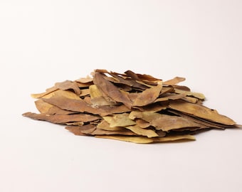 Ailanthus Triphysa Seeds – Natuurlijke boomzaden om te planten – Botanical Specimen & Craft Supply