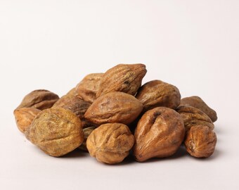 Terminalia Chebula Seeds – Natuurlijk botanisch exemplaar voor planten, verzamelen en ambachtelijk gebruik
