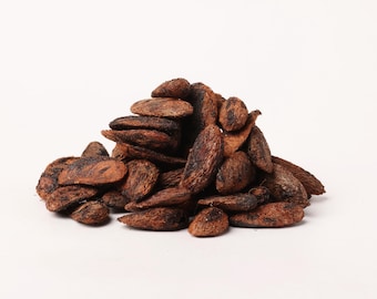 Garcinia Gummi-Guttazaden voor opplant – Tropische fruitboomzaden – Botanical Garden Supply