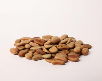 Caesalpinia Sappan Seeds – Tropische boomzaden voor opplant, botanische collectie en natuurlijk gebruik
