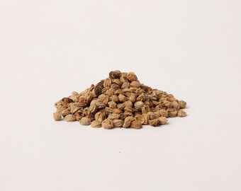 Mimusops Elengi Seeds – Spaanse kersenzaden voor planten, botanisch onderzoek en ambachtelijk gebruik