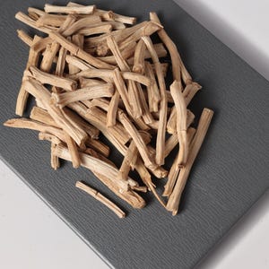 Shatavari Root (Dried Asparagus Racemosus) – Natural Botanical Craft & Study Specimen image 5