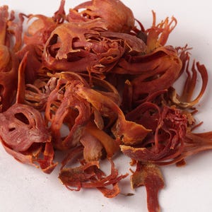 May include: A close-up shot of a pile of dried mace blades, displaying their complex, web-like form. The mace is a deep reddish-brown colour, with lighter orange tones in places. The spice is set against a white backdrop.