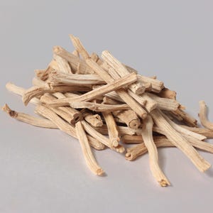 Shatavari Root (Dried Asparagus Racemosus) – Natural Botanical Craft & Study Specimen image 3