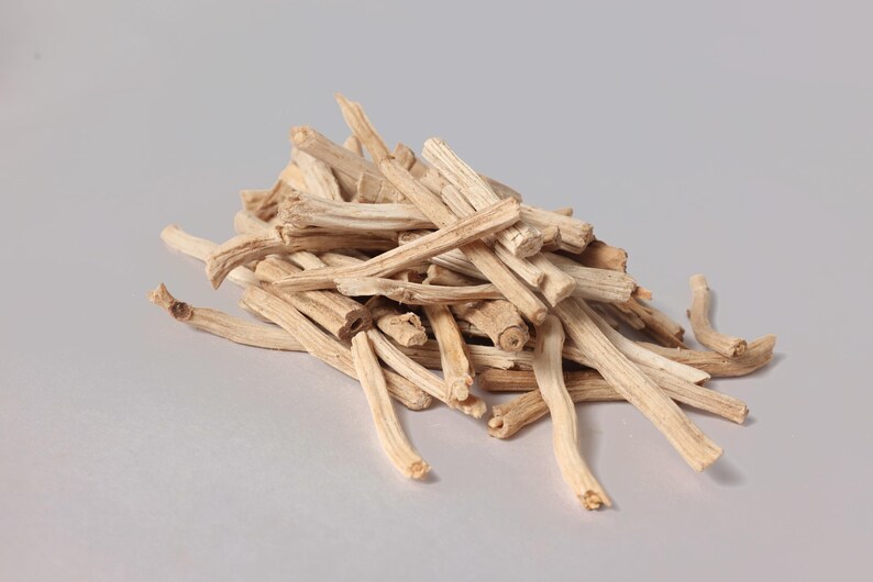 Shatavari Root (Dried Asparagus Racemosus) – Natural Botanical Craft & Study Specimen image 3