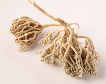 Gedroogde Mariyambloem | Mariyam Poep | Natuurlijke gedroogde bloemen | Traditioneel en cultureel gebruik | Ruw botanisch product