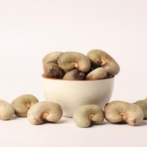 May include: A collection of raw cashews, some spilling out of a small, off-white ceramic bowl. The cashews are a pale green color with a distinctive curved shape. Several cashews are scattered around the bowl on a white surface.