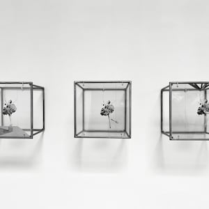 Op de afbeelding: Drie transparante glazen kubussen met zwarte metalen frames, elk met een zwart-witfoto van een ballerina in een pose in de lucht.