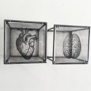 Anatomical Heart & Brain Metal Wall Sculpture: Dark Academia Art
