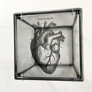 Anatomical heart print, handmade metal wall decor, art and shadow cubic sculpture. Home gift.